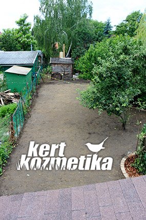 Beöntözött fűmagok (23)